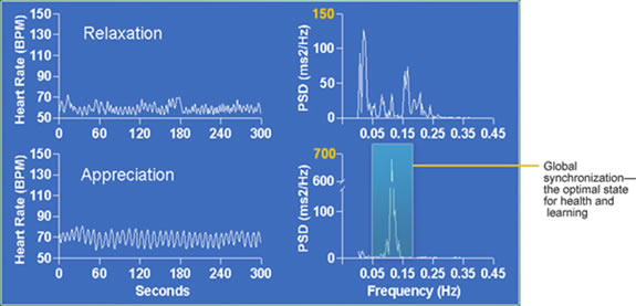 science_overview_4