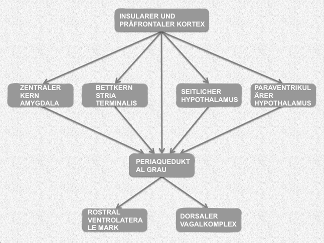 Übersicht über die Herzfrequenzvariabilität - Abbildung 5