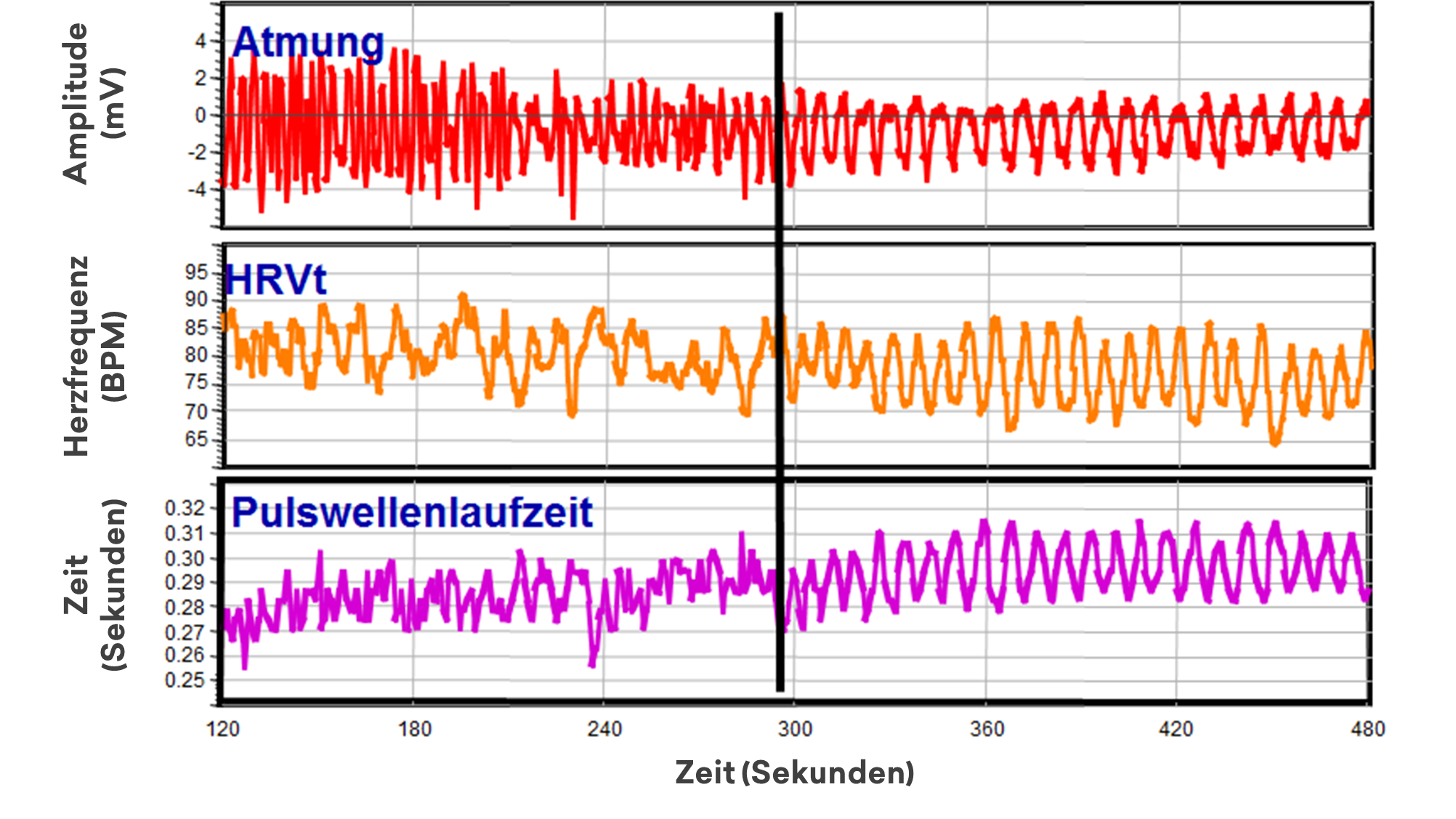 Wissenschaft rund um das Herz - Abbildung 3