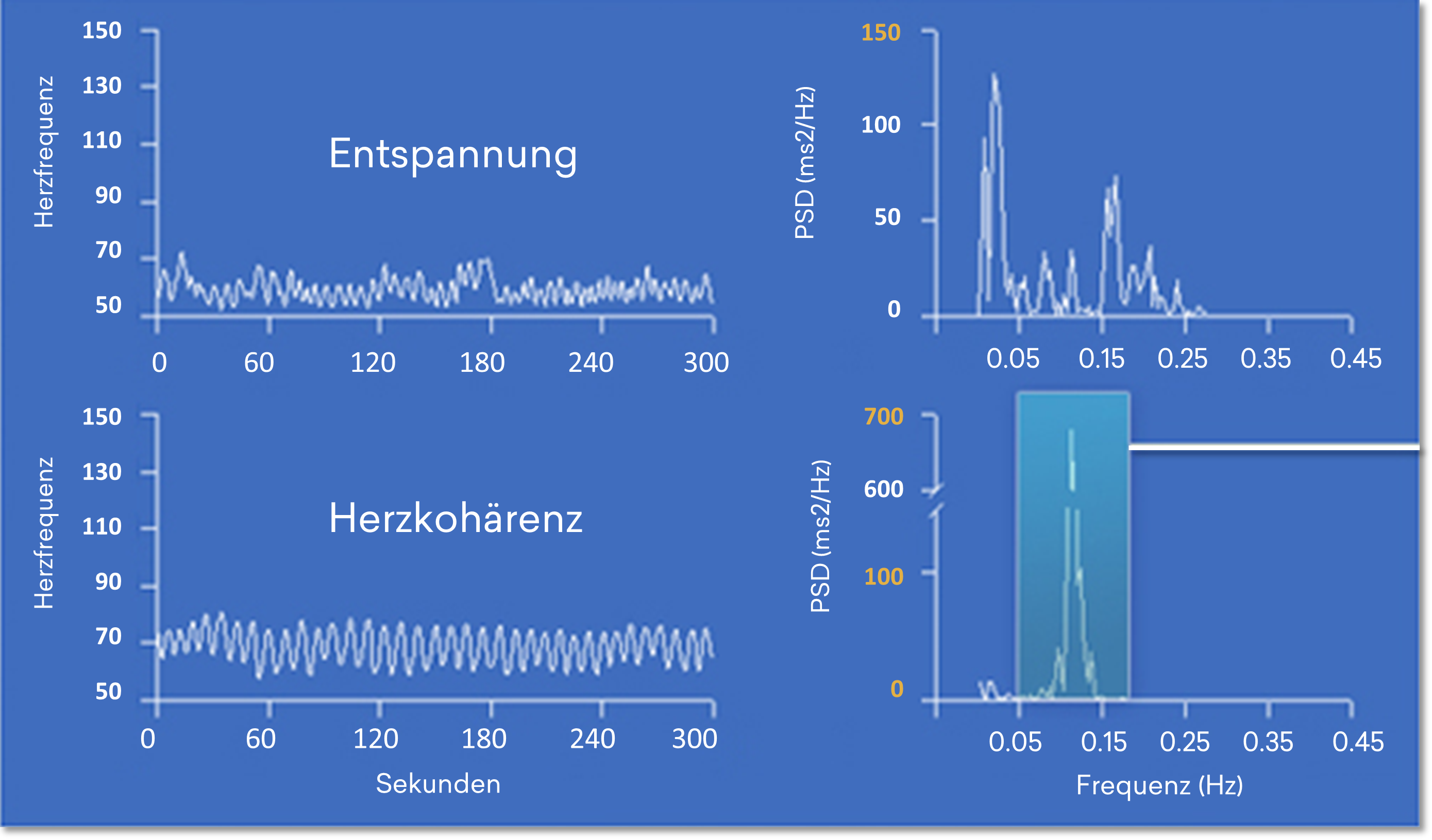 Wissenschaft rund um das Herz - Abbildung 4